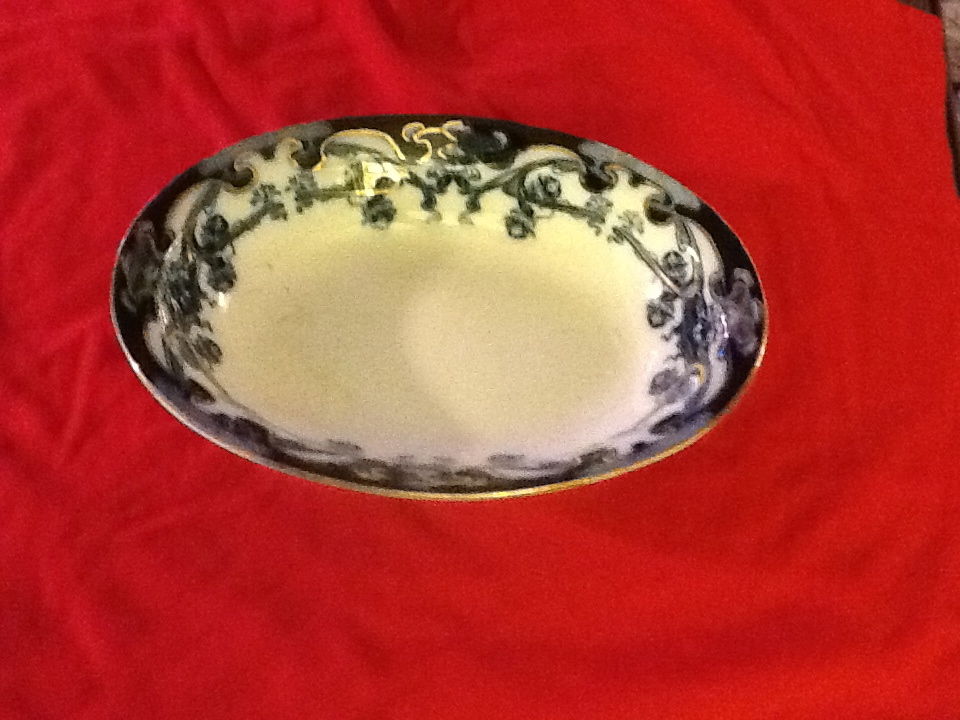 Royal Staffordshire Blue IRIS  10